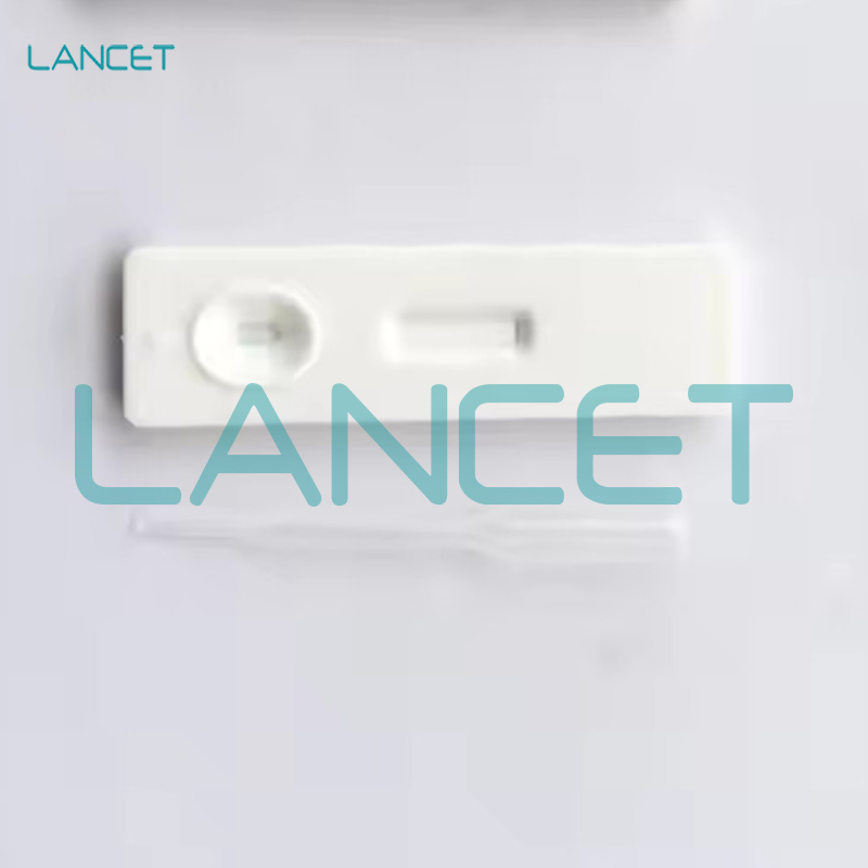 早孕试纸HCG Pregnancy Test 实验室排卵早早孕验孕棒测怀孕卡式详情5