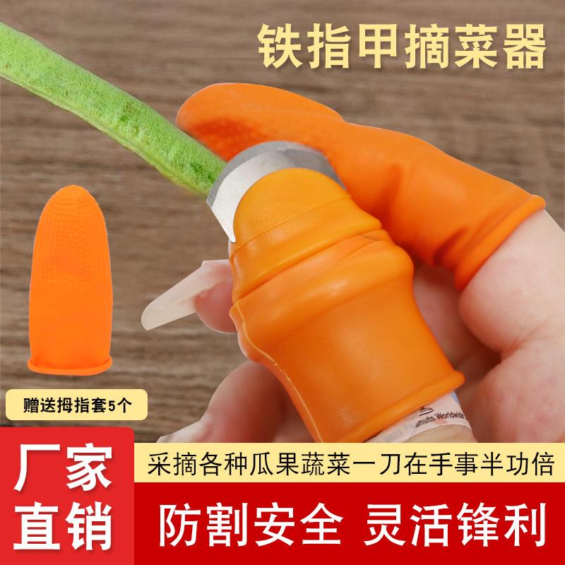 peeler bean artifact peel garlic artifact peeler peeler peeler peeler pickle peeler peeler peeler peeler garlic finger nutcracker