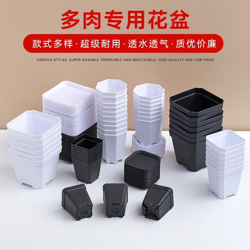 hot sale permeable breathable octagonal basin small white square succulent flower pot plastic square plant leaf insert nursery basin black square basin