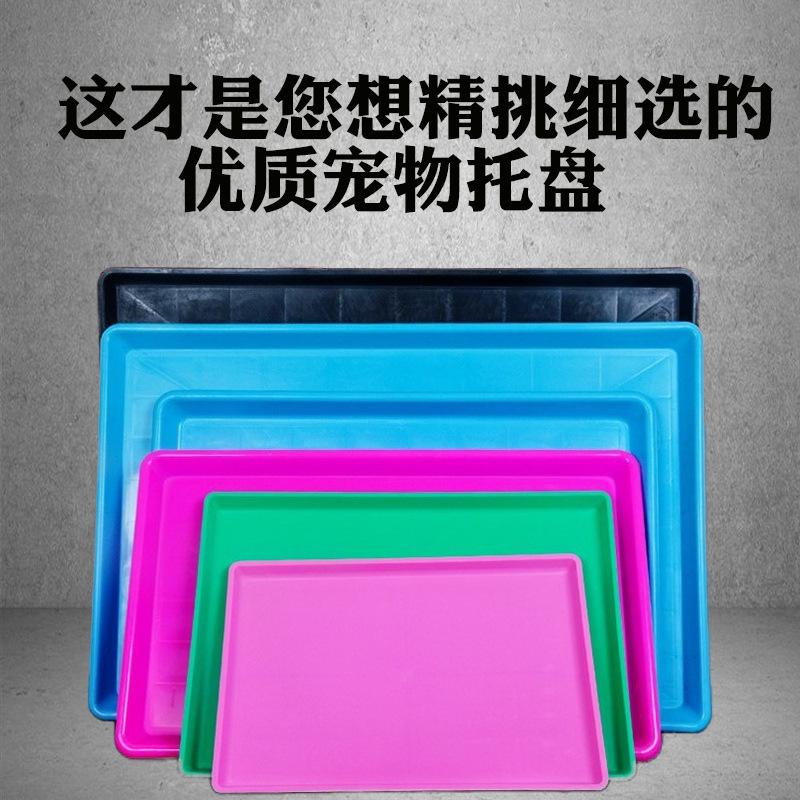 extra large dog crate tray pet toilet plastic thickened manure basin chicken coop chassis rabbit cage pet cage tray