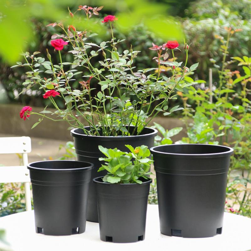 Gallon Flowerpot Black Plastic Flowerpot Nursery Base Nursery Basin Balcony Planting Flowerpot China Rose Nursery Basin
