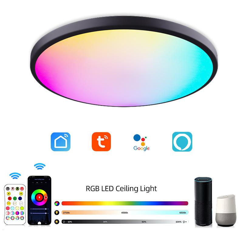 cross-border new arrival graffiti appwifi smart ceiling lamp alexa voice google bluetooth colorful ceiling lamp