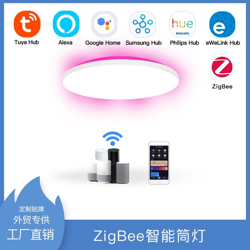 smart backlight ceiling lamp graffiti smart zigbee3.0 protocol direct connection alexa multiple gateway control