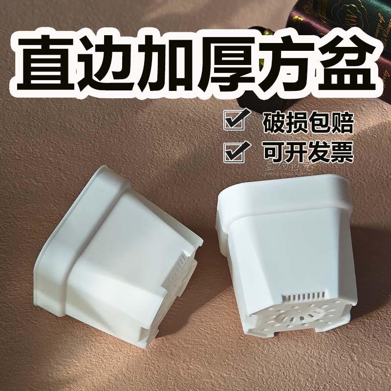 succulent square basin thickened white square balcony resin plastic flower pot rounded flower pot plant square basin succulents flower pot