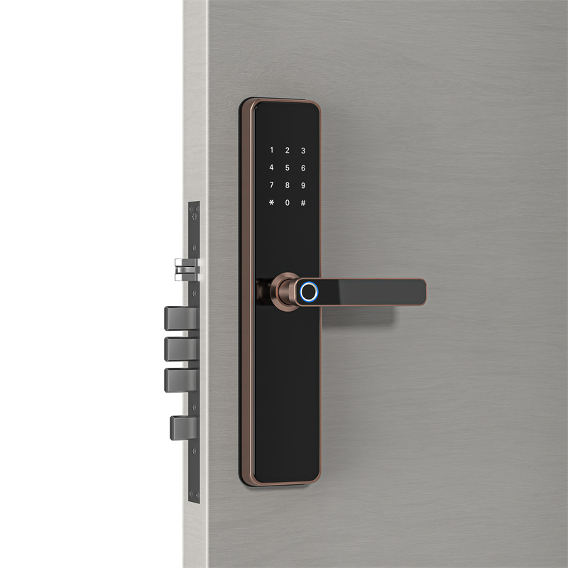 Tongtong Lock APP Cross-border Bluetooth wifi Smart electronic fingerprint smart door lock Item Picture