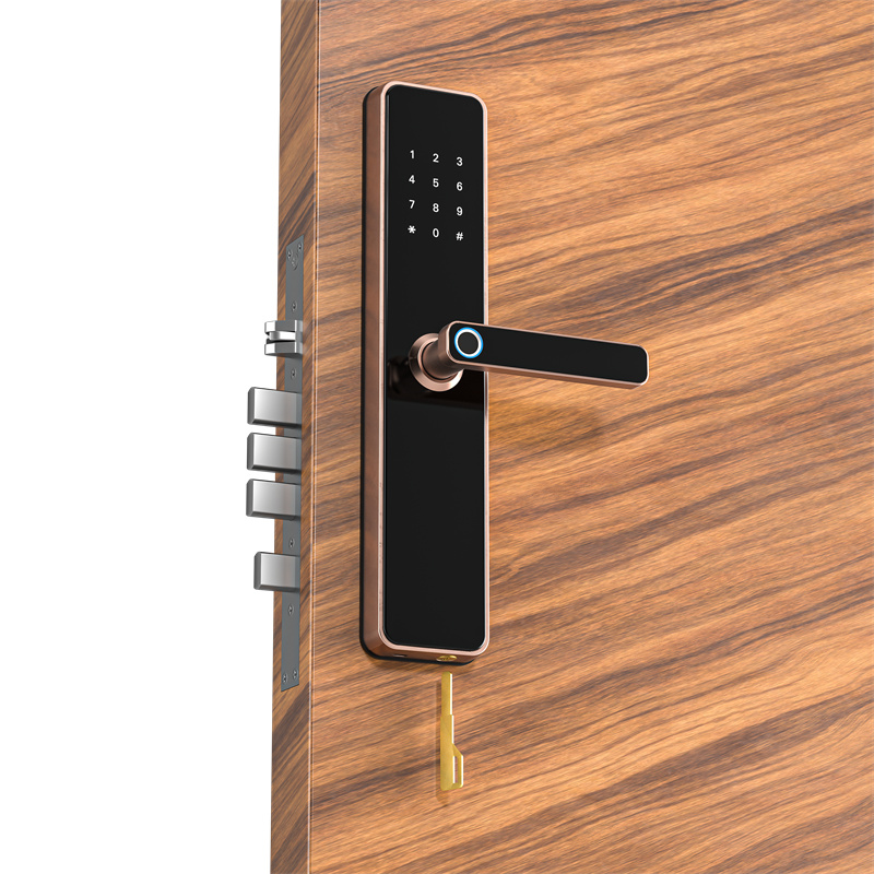 Tongtong Lock APP Cross-border Bluetooth wifi Smart electronic fingerprint smart door lock Application Scenario