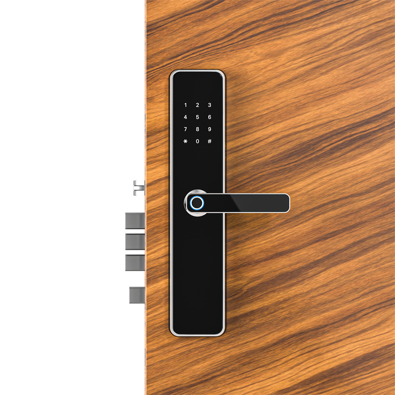 Tongtong Lock APP Cross-border Bluetooth wifi Smart electronic fingerprint smart door lock