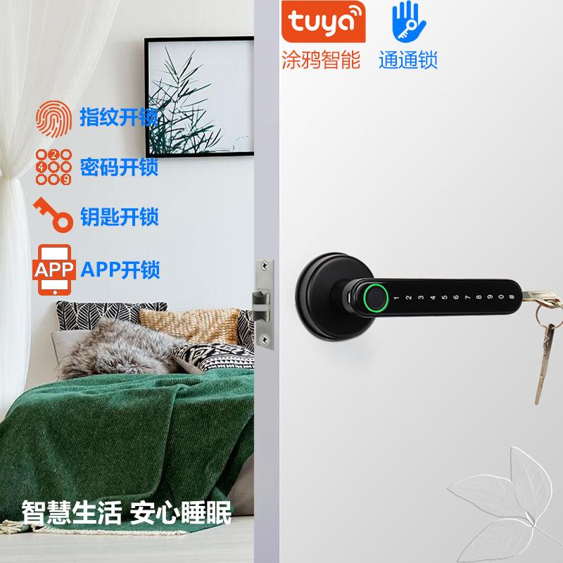 graffiti can be connected to wifi fingerprint lock timber door lock indoor smart door lock password pass lock handle key lock manufacturer