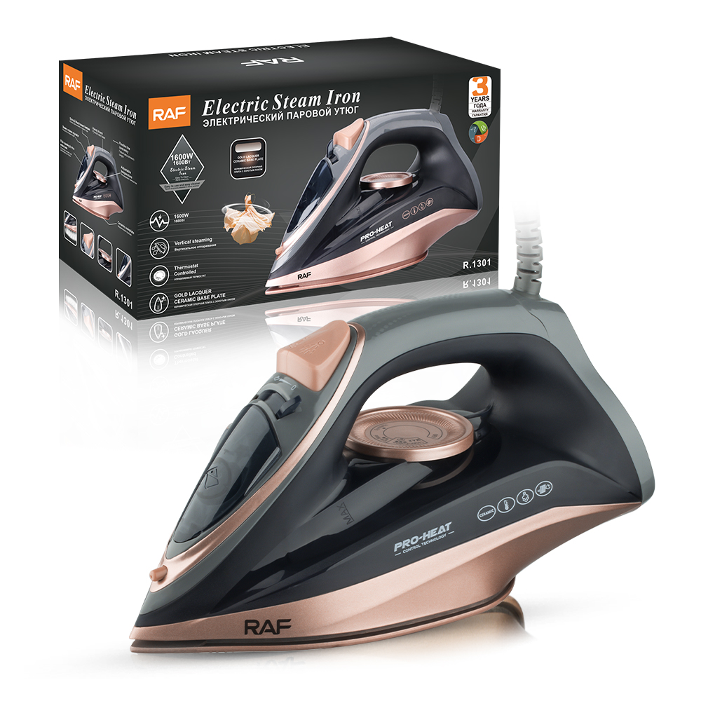 RAF European Standard cross-border handheld electric iron, household small portable steam iron, handheld ironing machine R.1301 details Picture