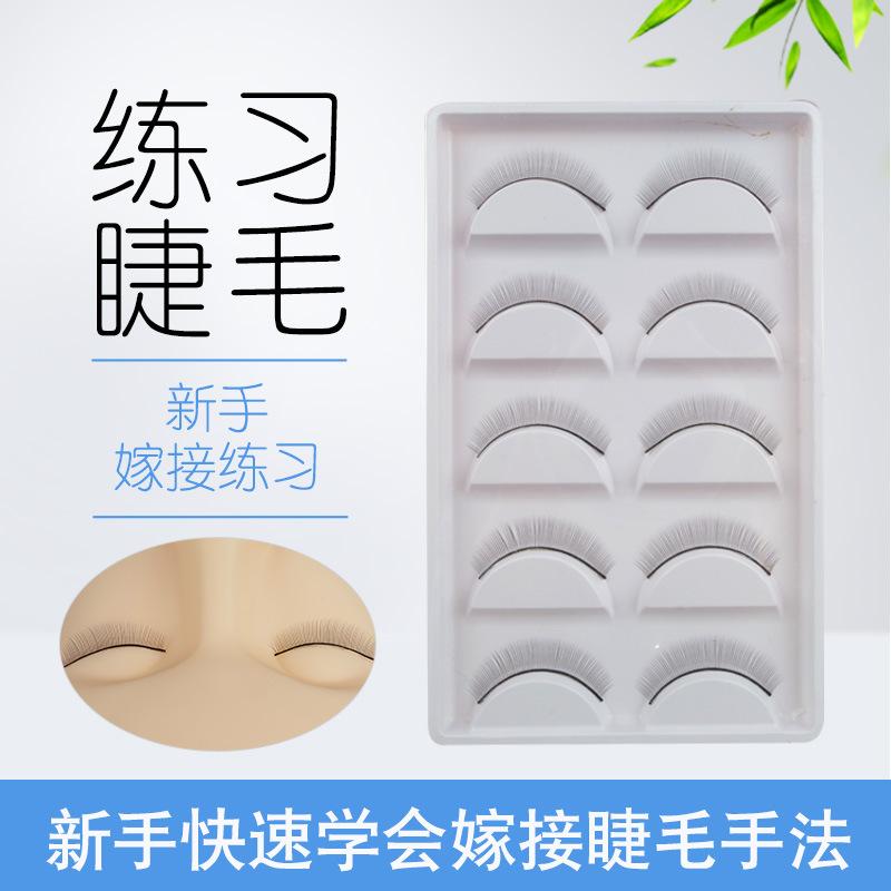 planting grafting practice eyelash novice students learning teaching materials tools single single cluster practice false eyelashes