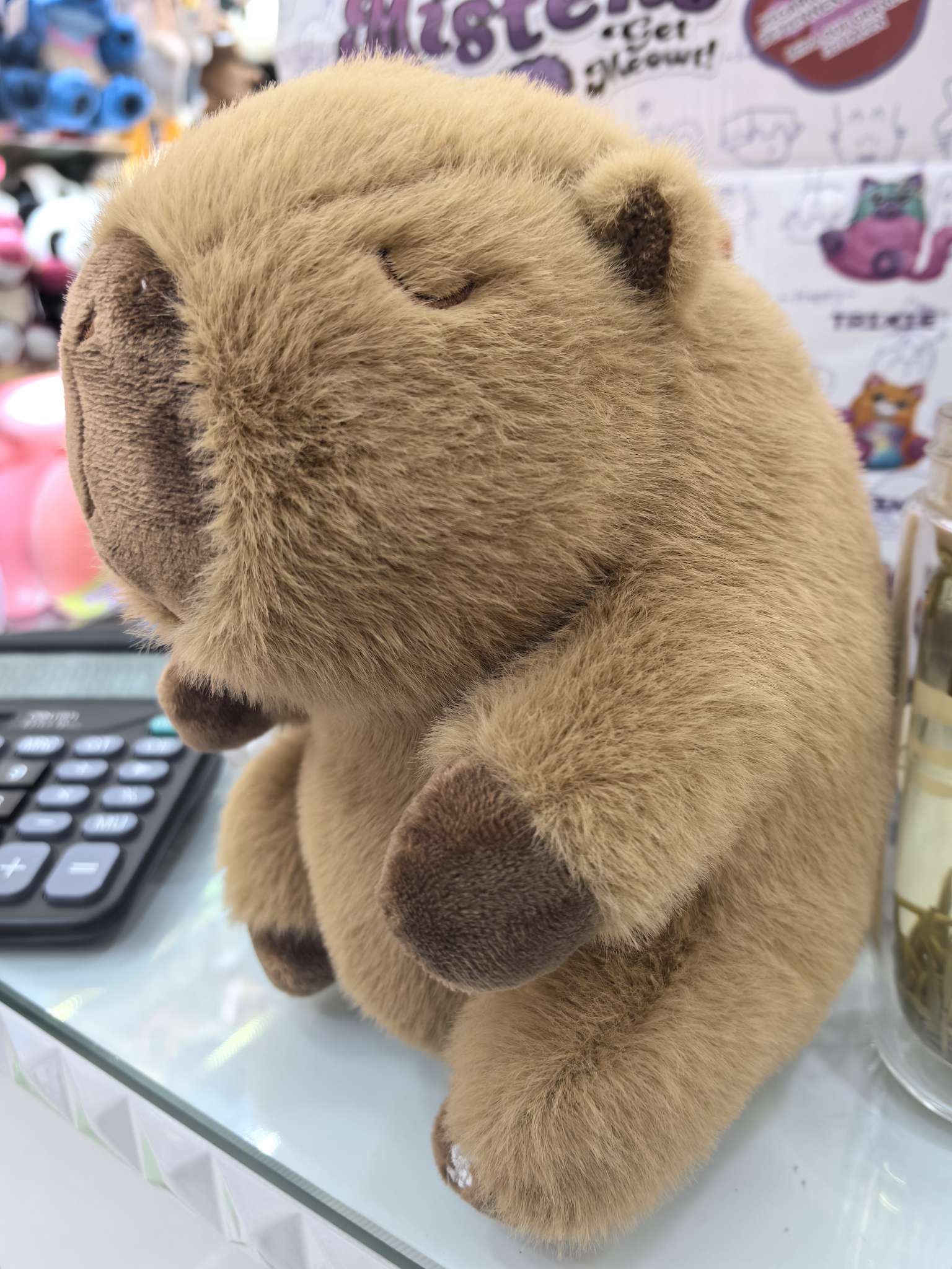 Plush electric catchy dance recording capybara doll Capibara detail image 2