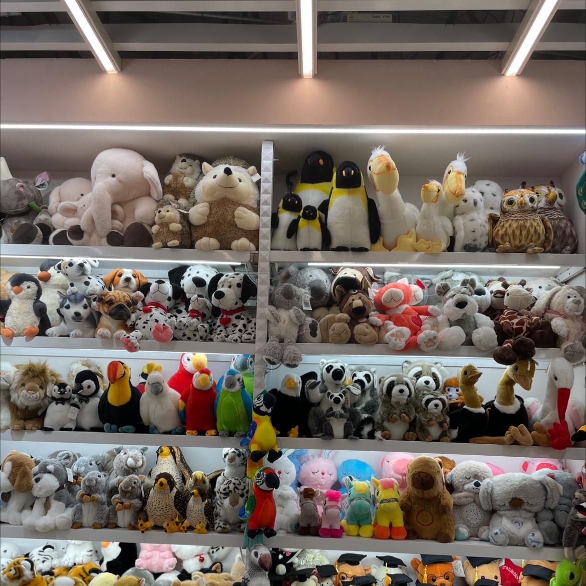 Sai Min Plush Toy Factory describe pic - 1