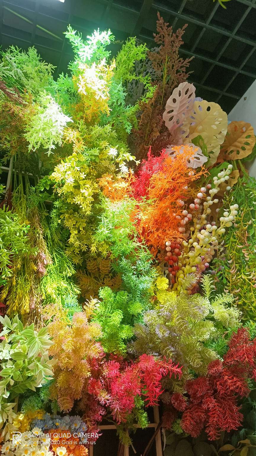 婚庆仿真花 婚庆装饰花，家装干花 仿真花 仿真黄芦草 情人草 undefined