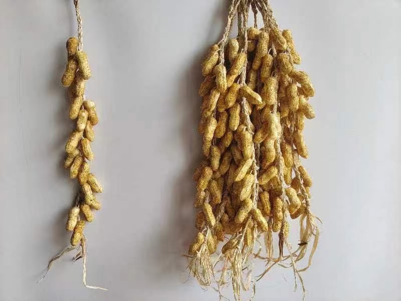 Realistic fruit, farm stay, fruit skewers, decorative hangers, foam fake vegetables, peppers, corn, potatoes, restaurant decoration, hotel decoration detail image 9