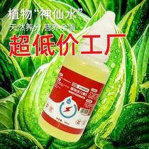 plant vitality lotion sk-ii facial treatment essence plant nutrient solution tip cover 50ml universal plant vitality lotion yiwu factory