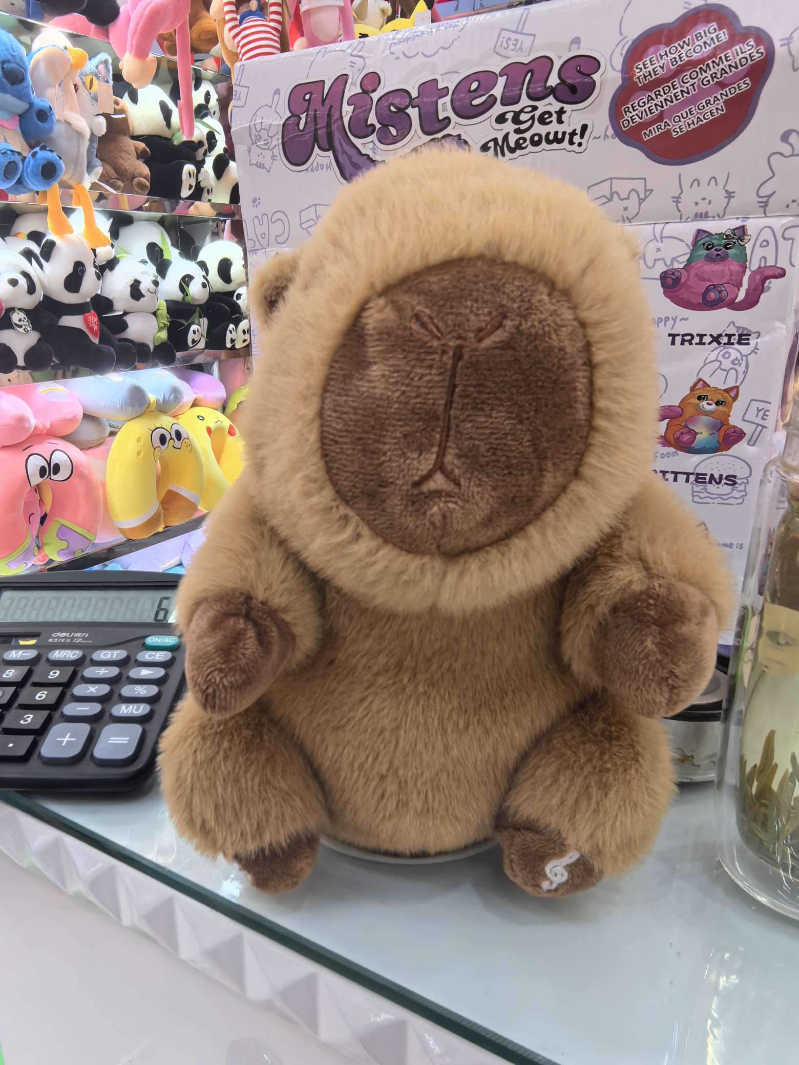 Plush electric catchy dance recording capybara doll Capibara details Picture
