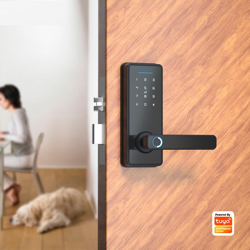 cross-border one-piece delivery indoor fingerprint lock graffiti wifi wooden door lock mobile phone remote swipe password smart home