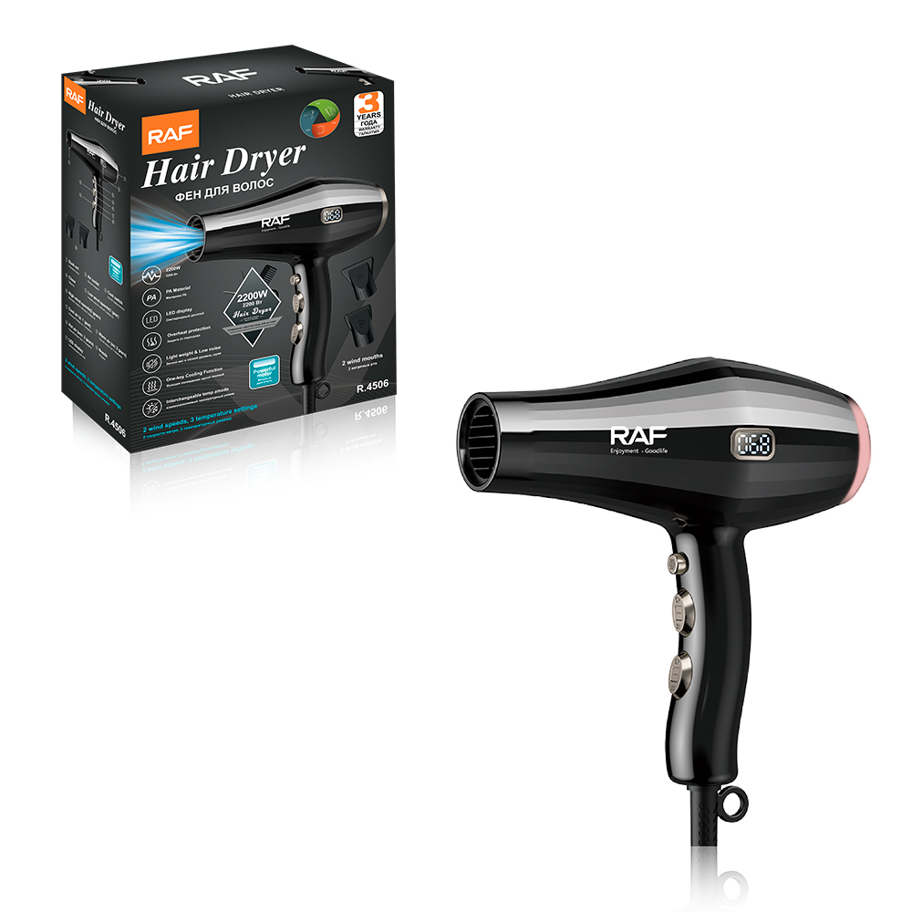 RAF European standard hair dryer, hair salon, household high-power hairdresser, hair salon special air duct manufacturer wholesale details Picture
