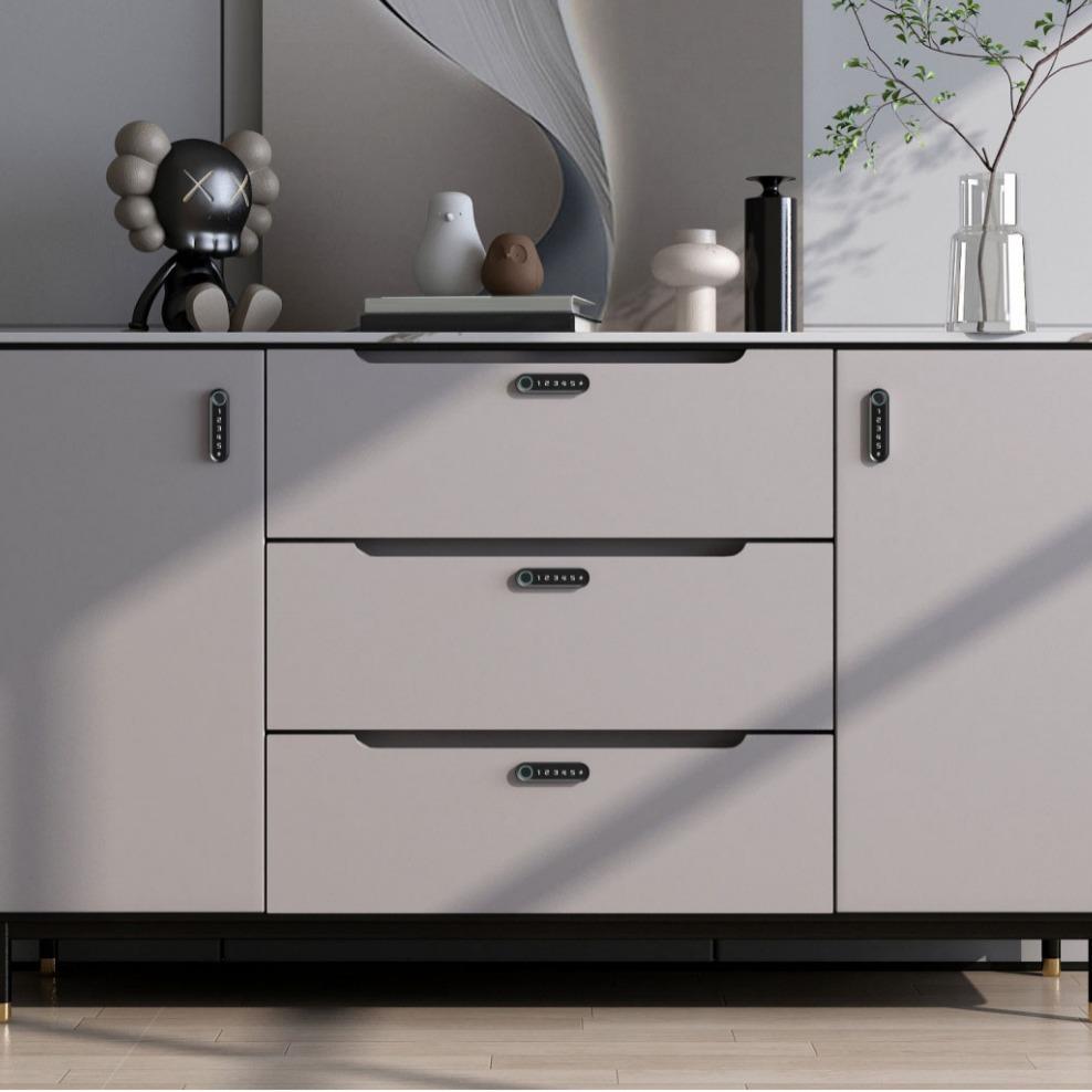 cabinet fingerprint lock sauna wardrobe shoe cabinet drawer fingerprint lock office desk office smart home password lock details Picture