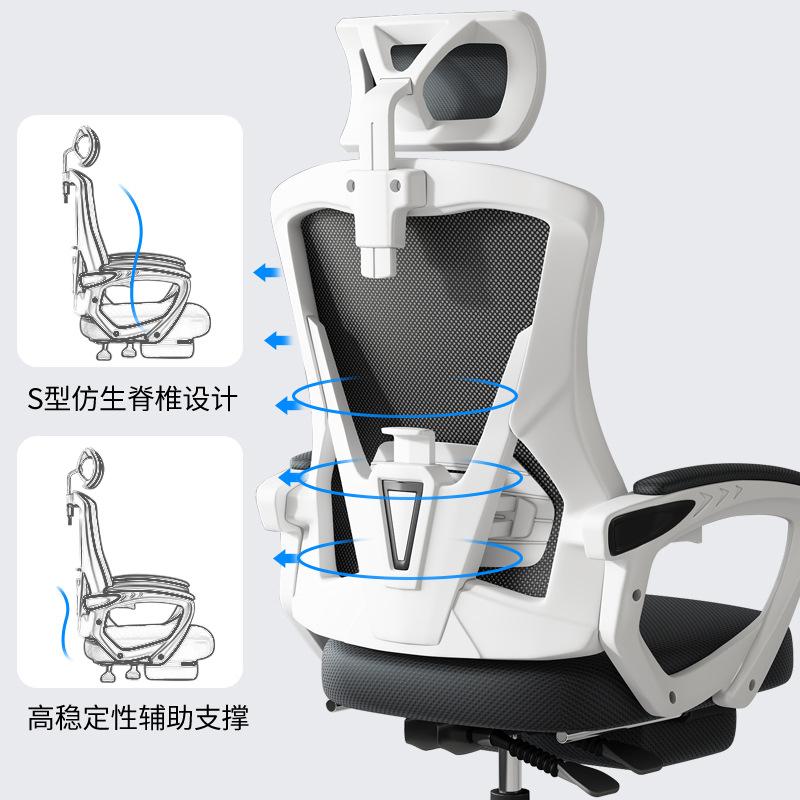 study chair long sitting computer chair home comfortable office chair study desk student's chair backrest ergonomic chair Application Scenario