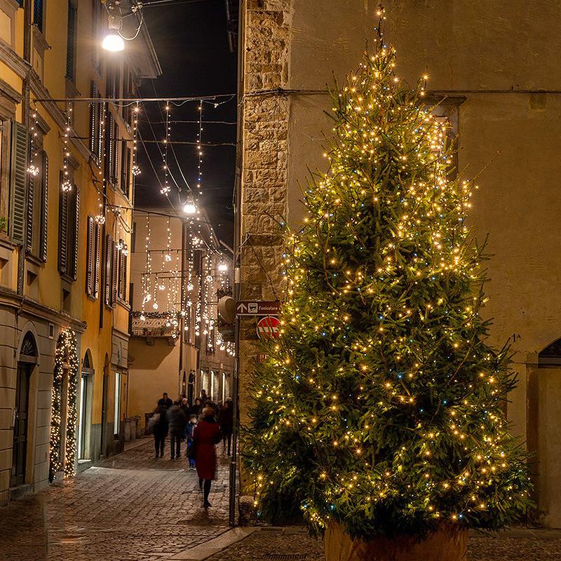 led copper wire lighting chain starry sky green rattan hanging tree outdoor holiday decorative light remote control christmas tree green line Application Scenario