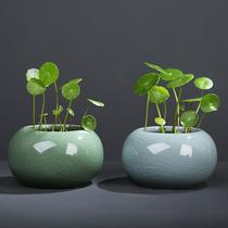 Ge Kiln Hydrocotyle Vase Fresh Desktop Flower Decoration Hydroponic Small Flower Pot Ceramic Container Flower Hydroponic Pot