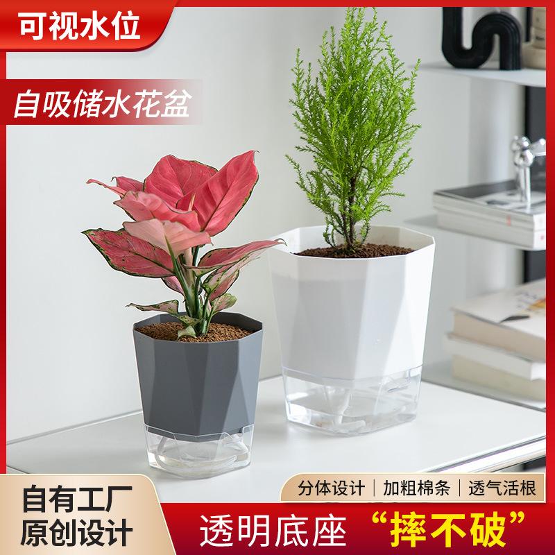 cross-border plastic transparent lazy automatic water feeding flower pot hydroponic hydroponic green plant white large size water storage basin water-free