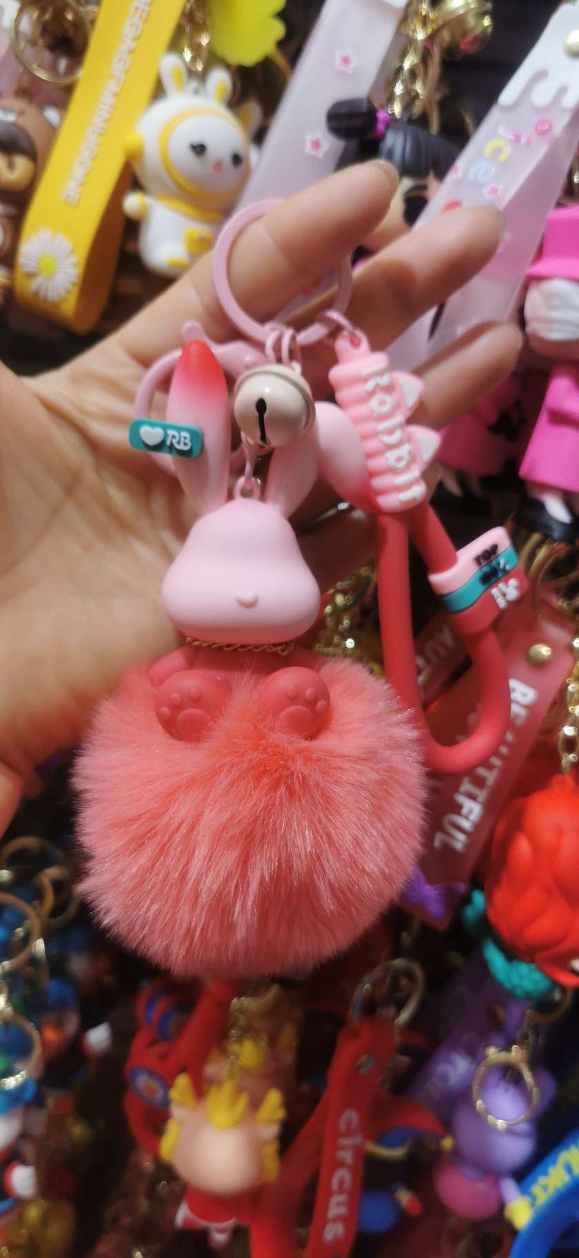 Keychains for girls in 2024 are cute Application Scenario