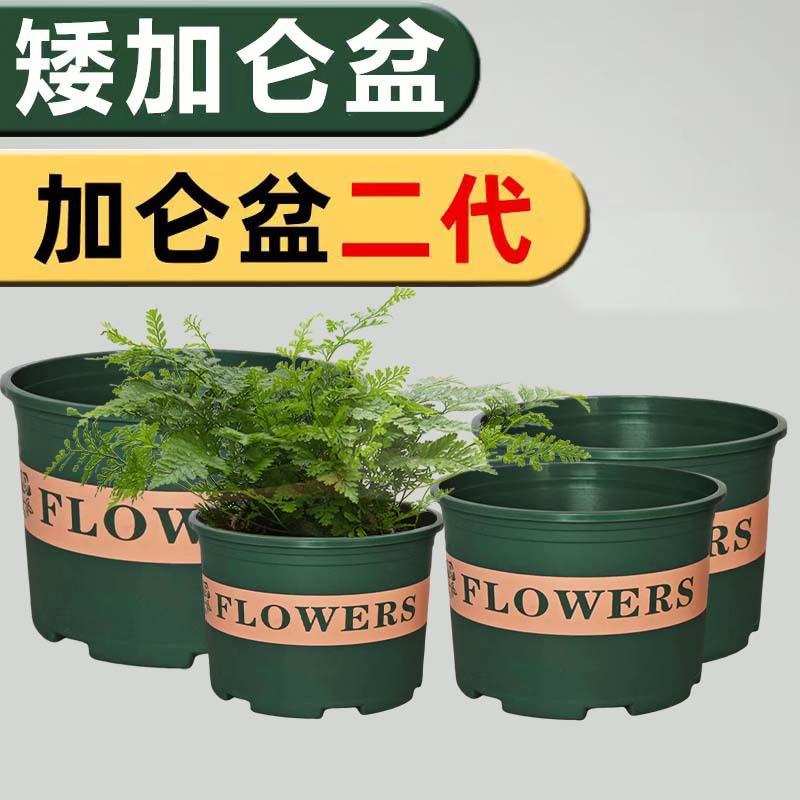 short gallon basin plastic flower pot environmentally friendly thickened gallon basin green radish basin chinese rose flower pot balcony plastic basin second generation