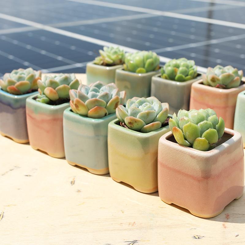 cross-border popular succulent flower pot ice cracked ceramics mini small flower pot office home furnishings potted plant gardening