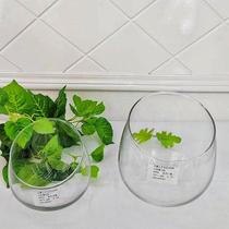 factory direct sales hydroponic plant cut glass bottle green radish water plant flower pot vase glass oblique mouth water fish tank