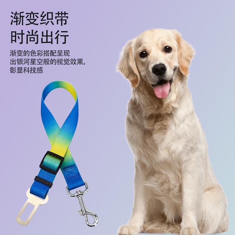 Cross-Border Gradient Car Safety Belt for Pet Dog out Traction Belt Car Safety Buckle Anti-Lost Dog Collar