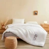 Wholesale of Class A raw cotton soybean fiber quilt cores, thickened soybean winter quilts and cotton quilts Application Scenario