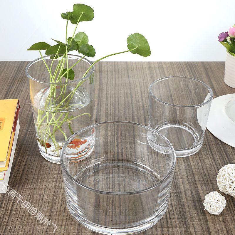 glassware large sized creative hydroponic transparent flowerpot tulip hydrocotyle cylindrical fish tank hydroponic cross-border