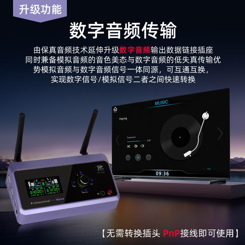 new charging digital audio pnp one-to-two microphone high fidelity lossless karaoke outdoor performance wireless microphone details Picture