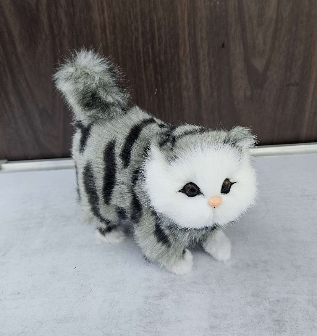 仿真猫产品图