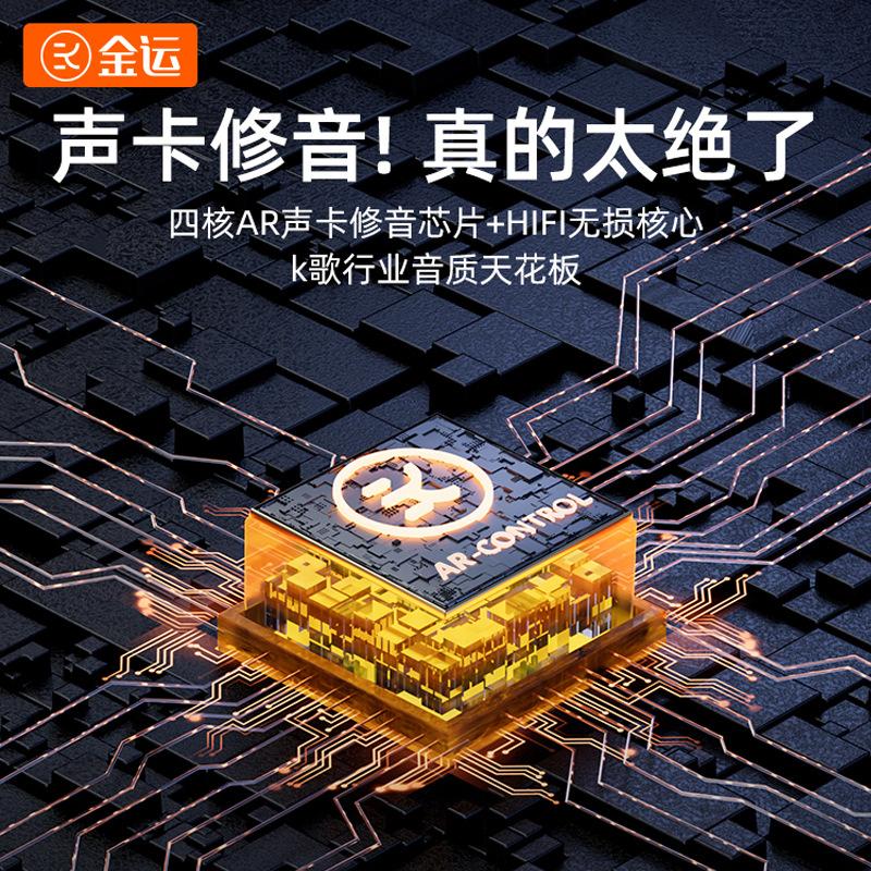 k12 microphone audio integrated wireless microphone karaoke home singing family ktv smart bluetooth audio with light Application Scenario