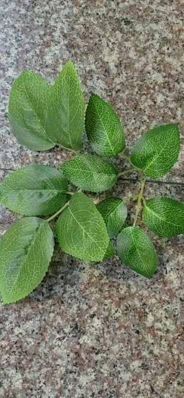 硅胶人造花木棉 清明仿真花瓣 工艺品假花礼品 家具装饰 仿真花艺术品 室内绿植装饰品