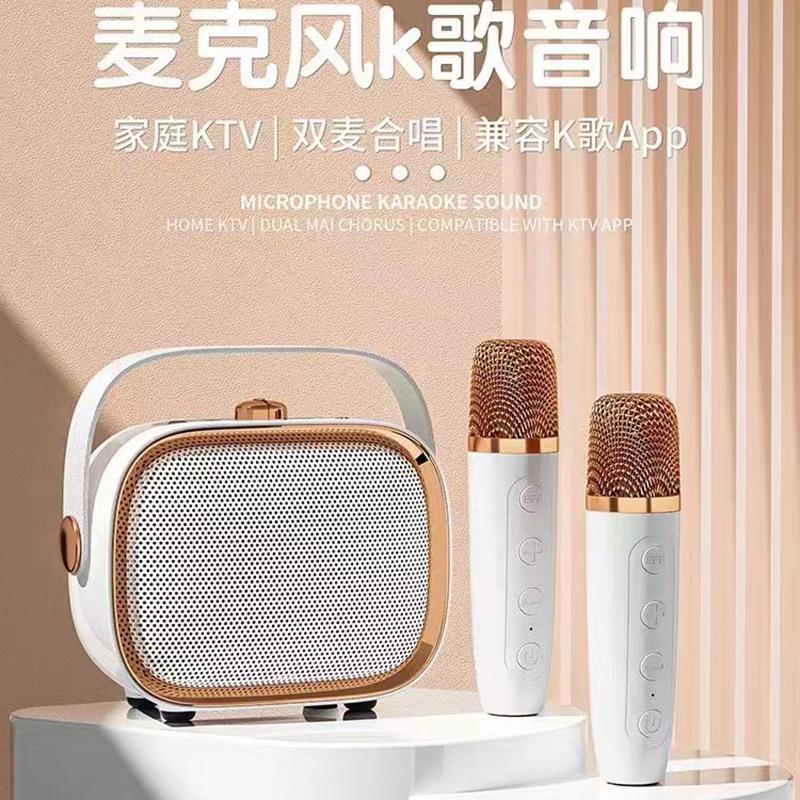Bluetooth with Microphone Stereo Integrated Family KTV Double Chorus Karaoke Wireless Microphone Portable Speaker Subwoofer