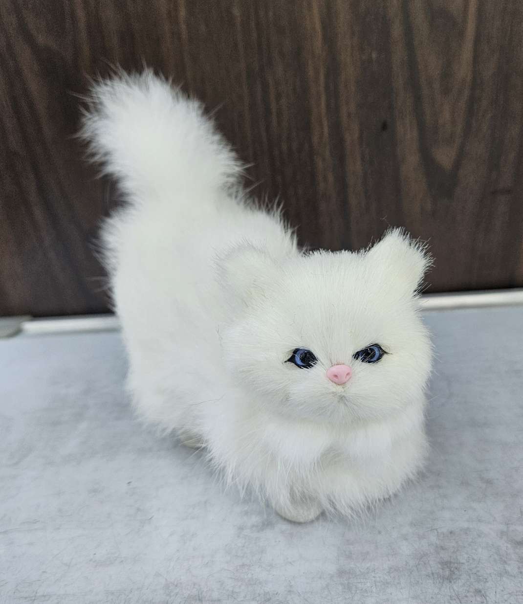 仿真动物实物图