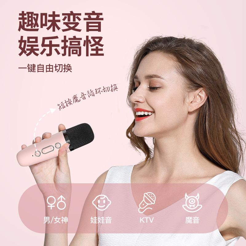 p2 portable mini wireless microphone integrated bluetooth audio outdoor karaoke home microphone set cross-border special Application Scenario