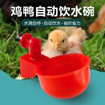 poultry automatic drinking bowl automatic chicken water dispenser chicken drinking cup drinking water dispenser for chicken
