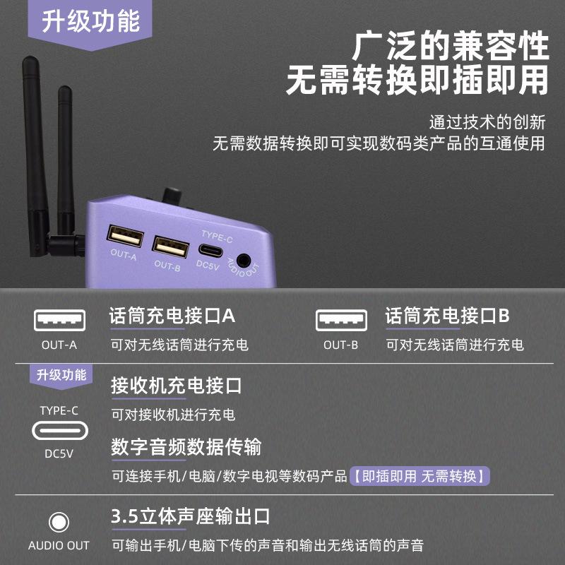 new charging digital audio pnp one-to-two microphone high fidelity lossless karaoke outdoor performance wireless microphone Application Scenario
