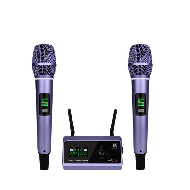 new charging digital audio pnp one-to-two microphone high fidelity lossless karaoke outdoor performance wireless microphone Item Picture
