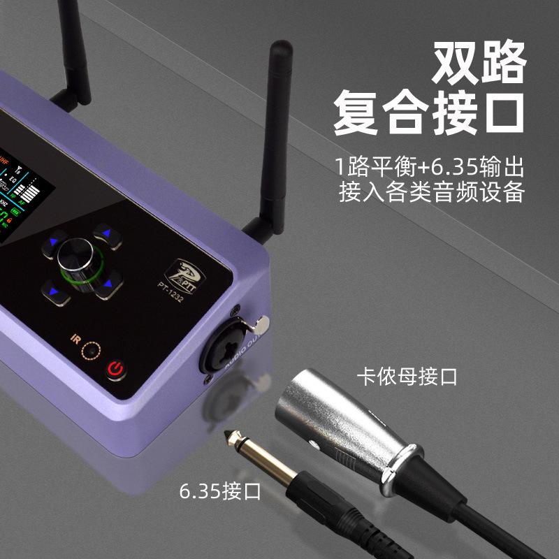 new charging digital audio pnp one-to-two microphone high fidelity lossless karaoke outdoor performance wireless microphone Specification drawing