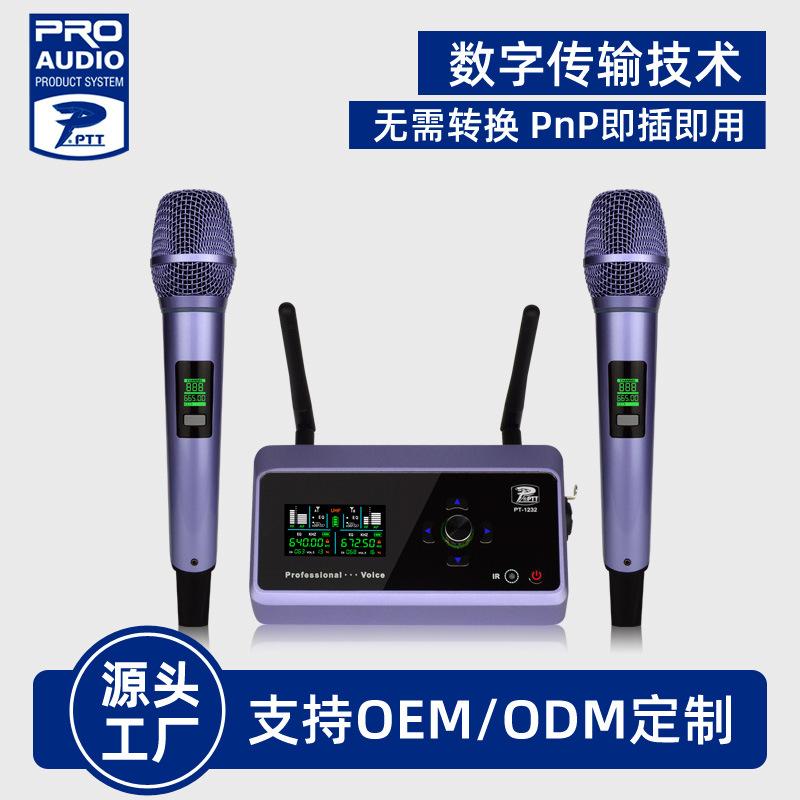 new charging digital audio pnp one-to-two microphone high fidelity lossless karaoke outdoor performance wireless microphone full figure