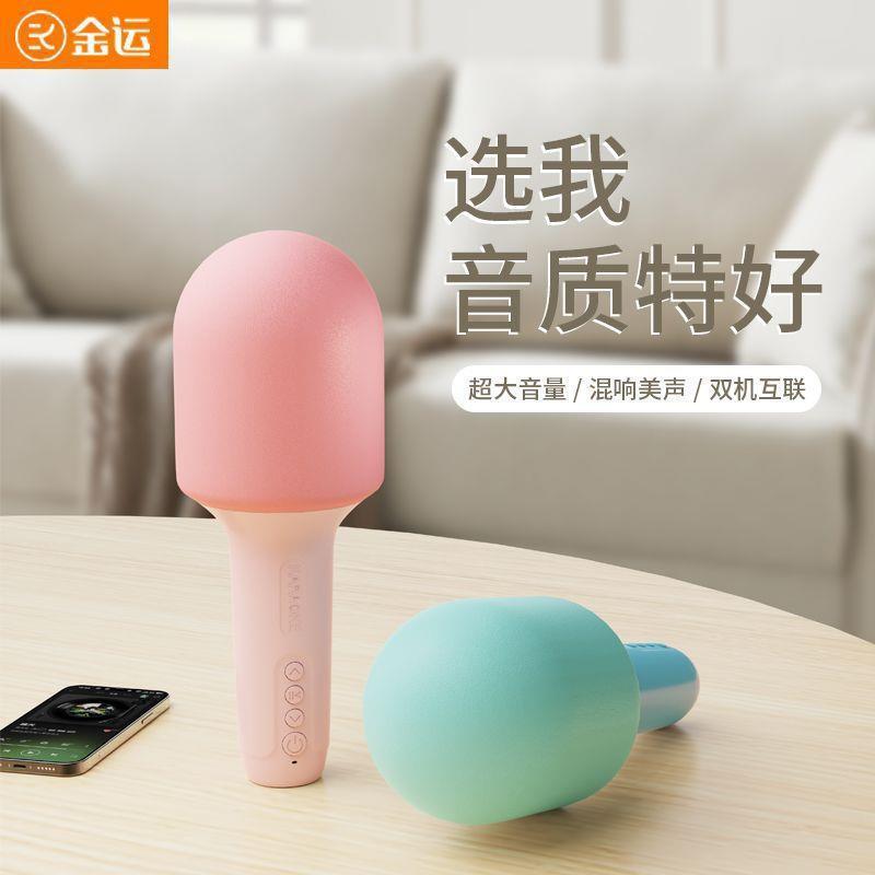 h18 microphone audio integrated microphone wesing baoshen device wireless bluetooth home singing microphone