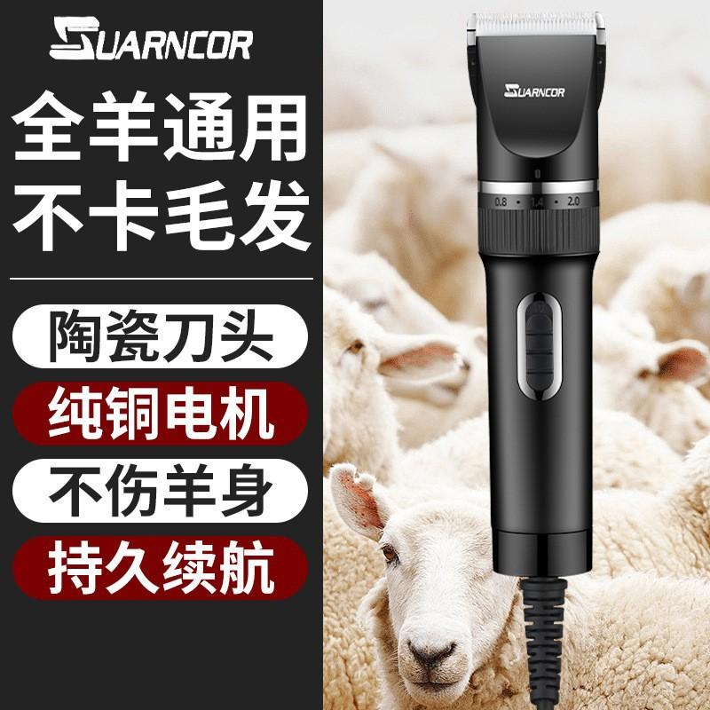 Cross-Border Pet Shaver Charging High-Power Dog Cat Hair Clipper Cashmere Goat Sheep Shaving Electric Push Customization