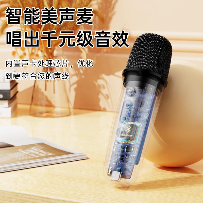 bluetooth audio karaoke microphone integrated outdoor wireless singing home children mini speaker with microphone Application Scenario