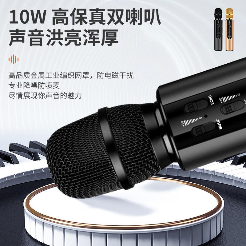 cross-border microphone wireless capacitor dual speaker portable bluetooth microphone home singing audio microphone integrated Specification drawing